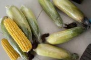玉米市场涨声一片 最坏的时候已过去？