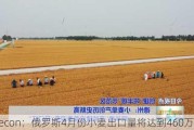 Sovecon：俄罗斯4月份小麦出口量将达到460万吨