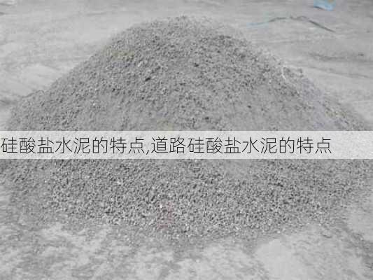 硅酸盐水泥的特点,道路硅酸盐水泥的特点