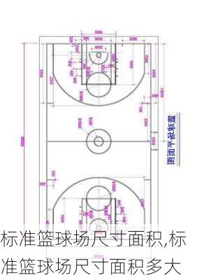 标准篮球场尺寸面积,标准篮球场尺寸面积多大